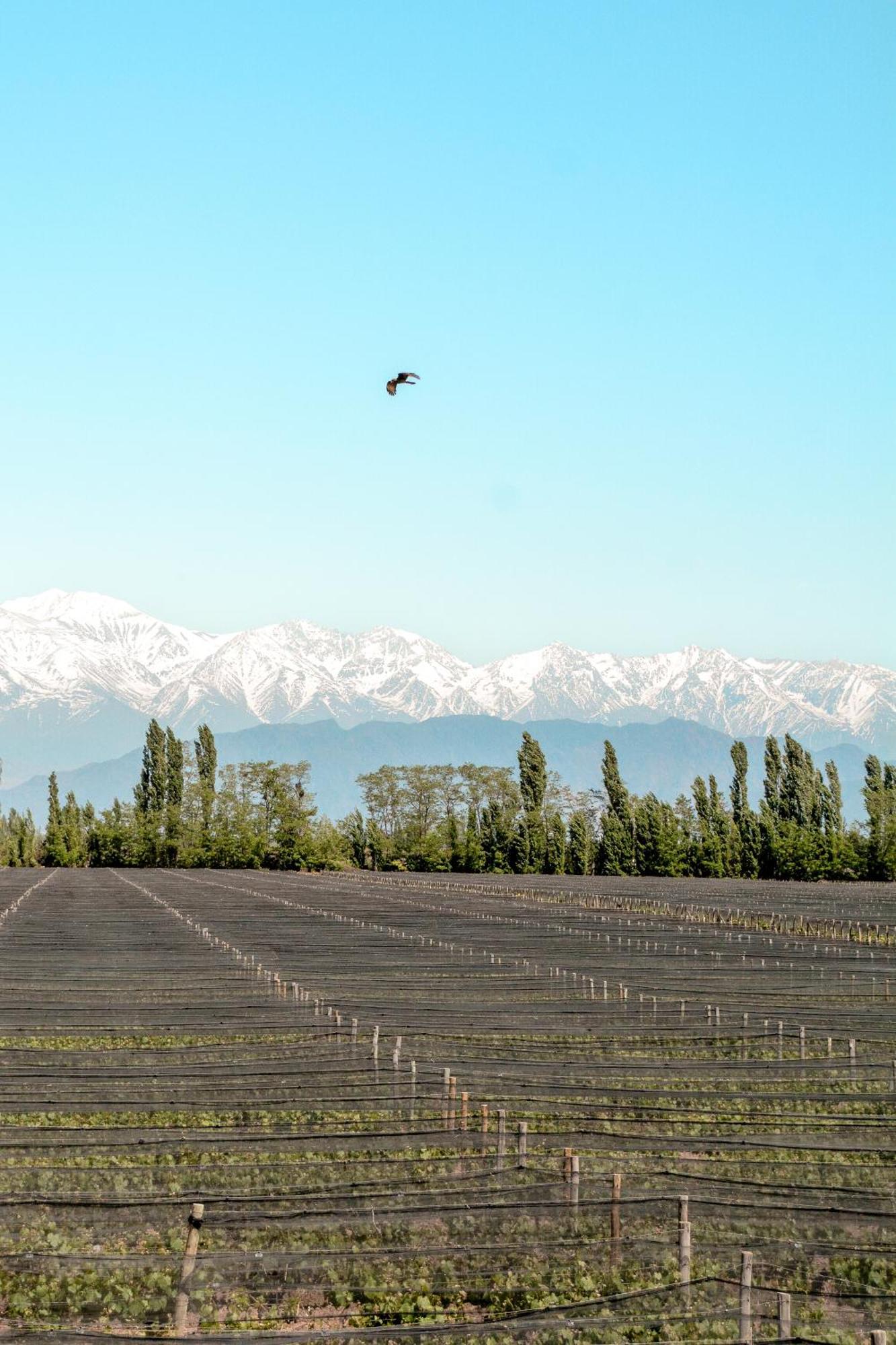 Agrelo Vines Lodge Luaran gambar