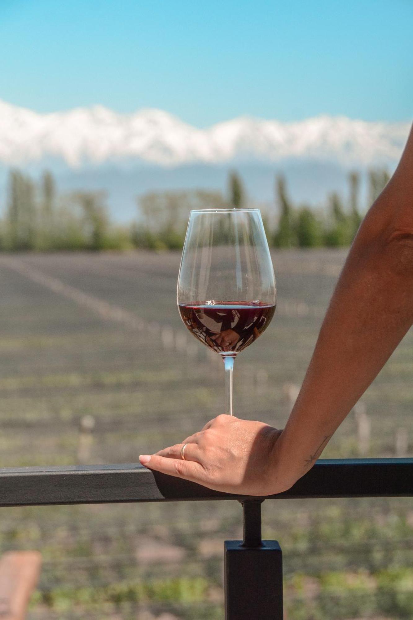 Agrelo Vines Lodge Luaran gambar