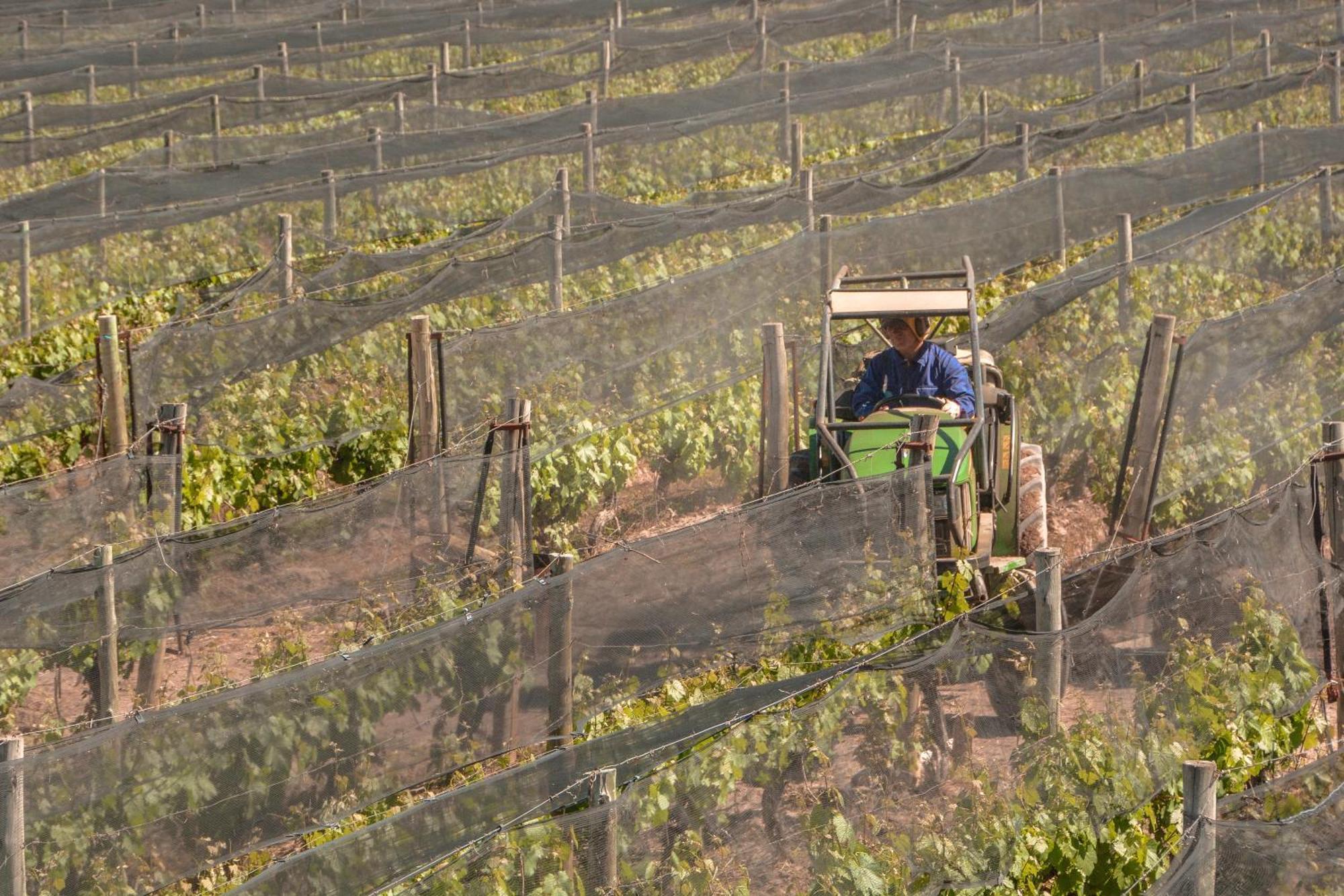 Agrelo Vines Lodge Luaran gambar